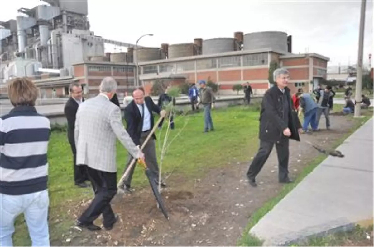 Soma'da Fidan Dikimi
