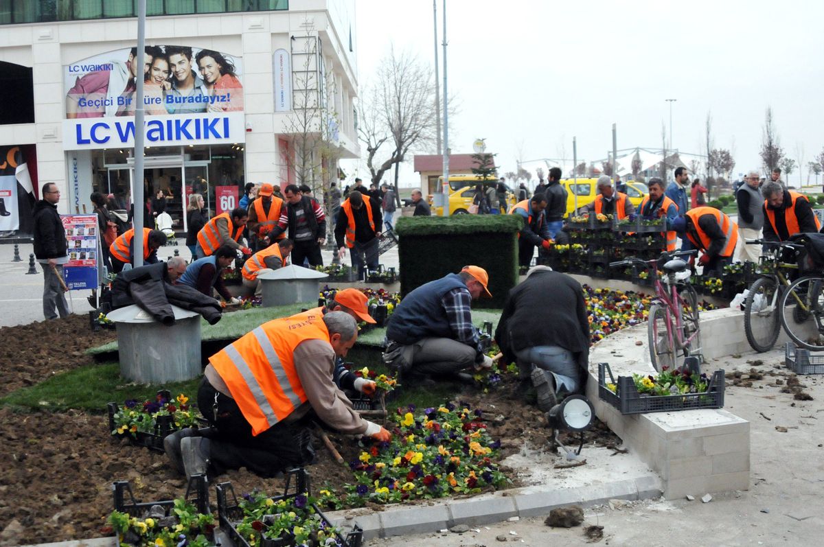 Uğur Mumcu Kültür Merkezi Önüne 15 Bin Menekşe