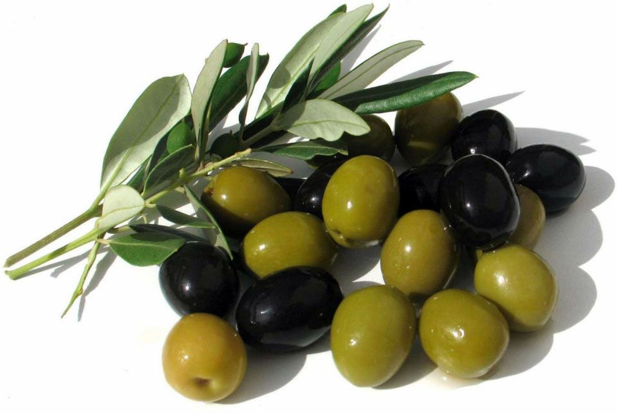 Zeytin Üreticisine Budama Kursu Verildi