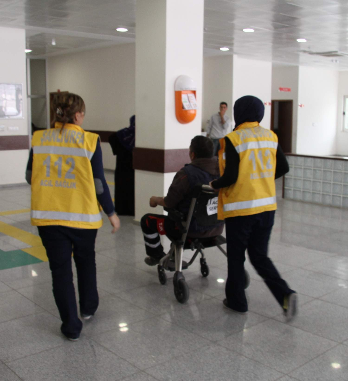 At, Bakıcısını Hastanelik Etti