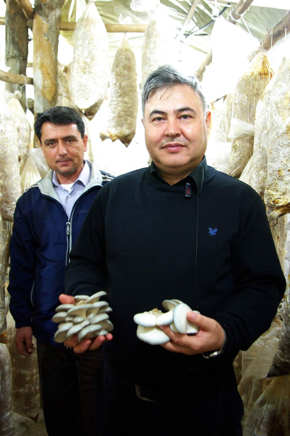 Ege Lokmanı Şevki Güngör Açıklaması