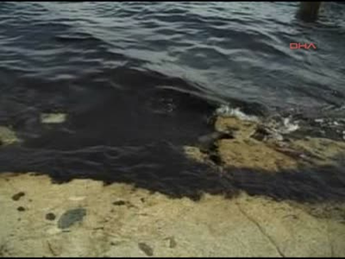 İzmir Çandarlı Sahilinde Kirlilik Alarmı Çandarlı Sahilinde Kirlilik Alarmı