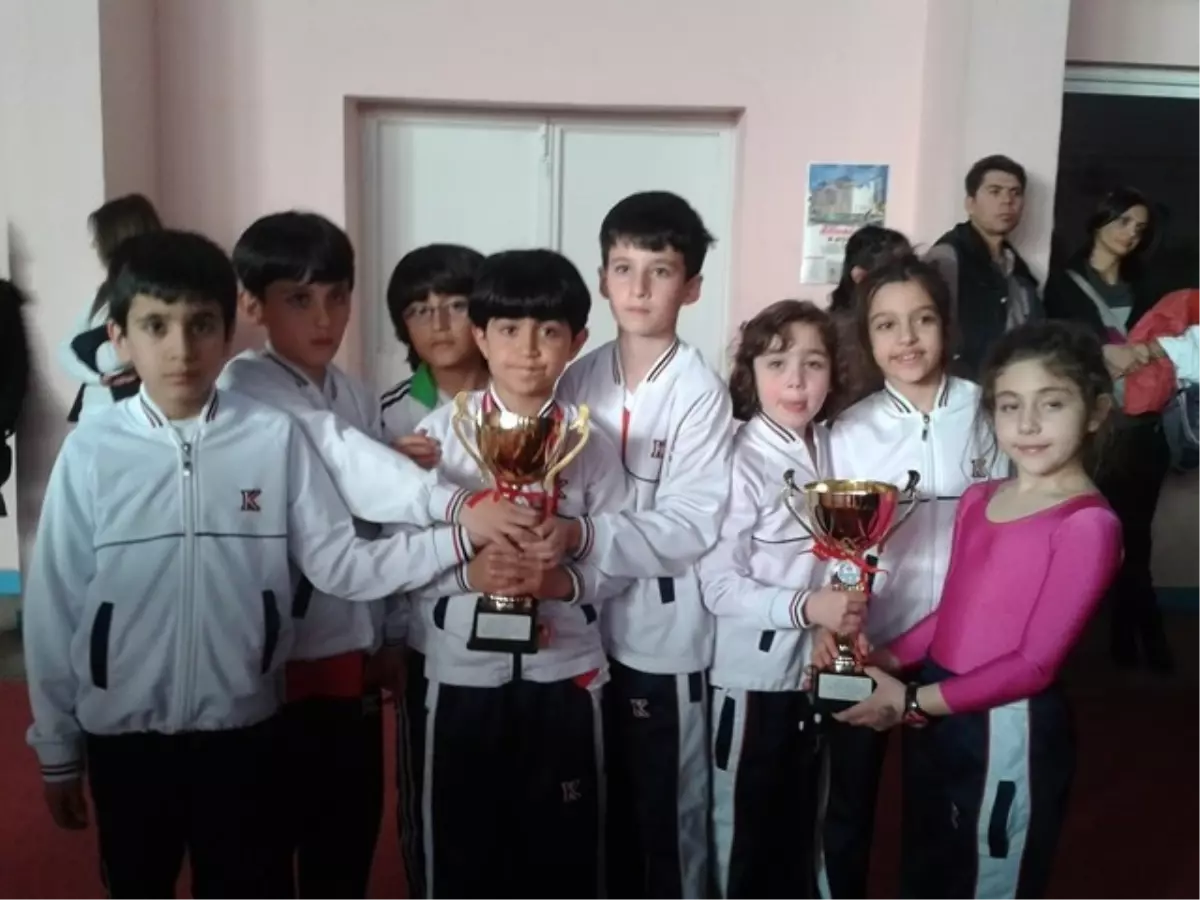 Jimnastik'de Kız ve Erkeklerde Başarı