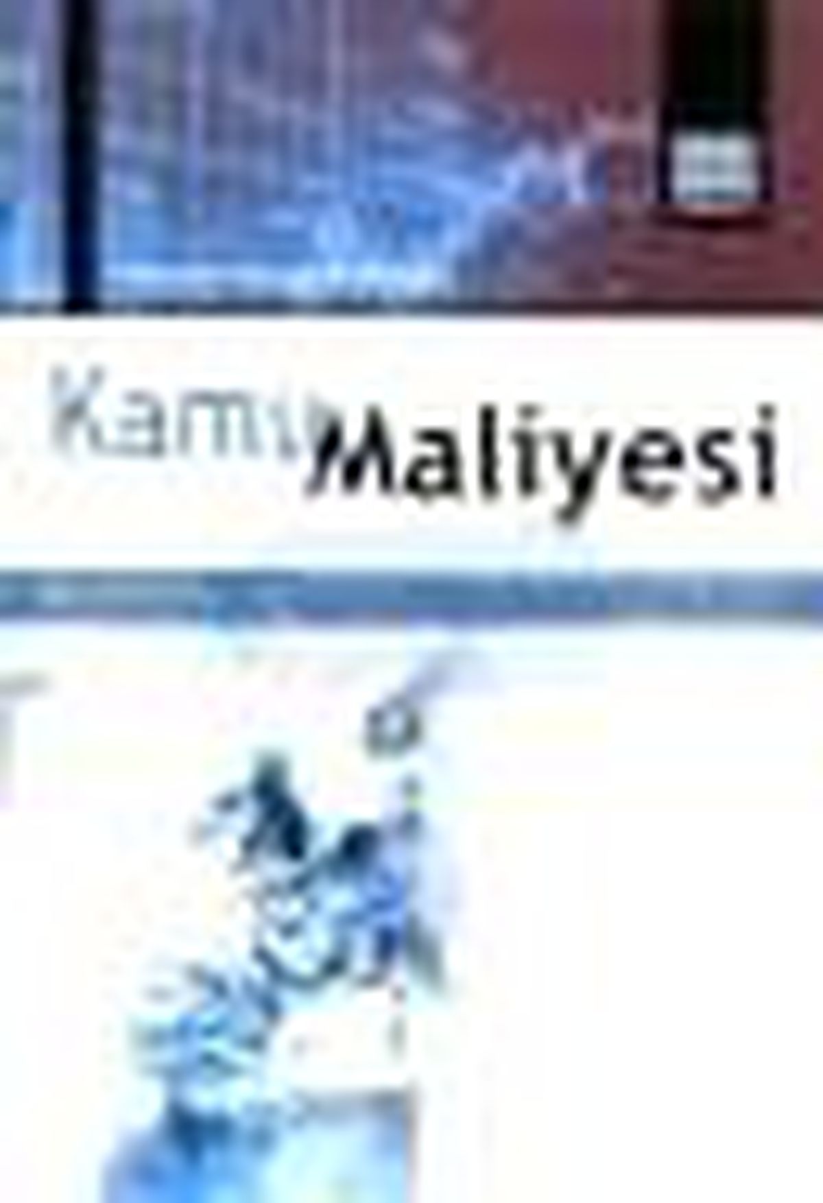 Kamu Maliyesi Kitabı