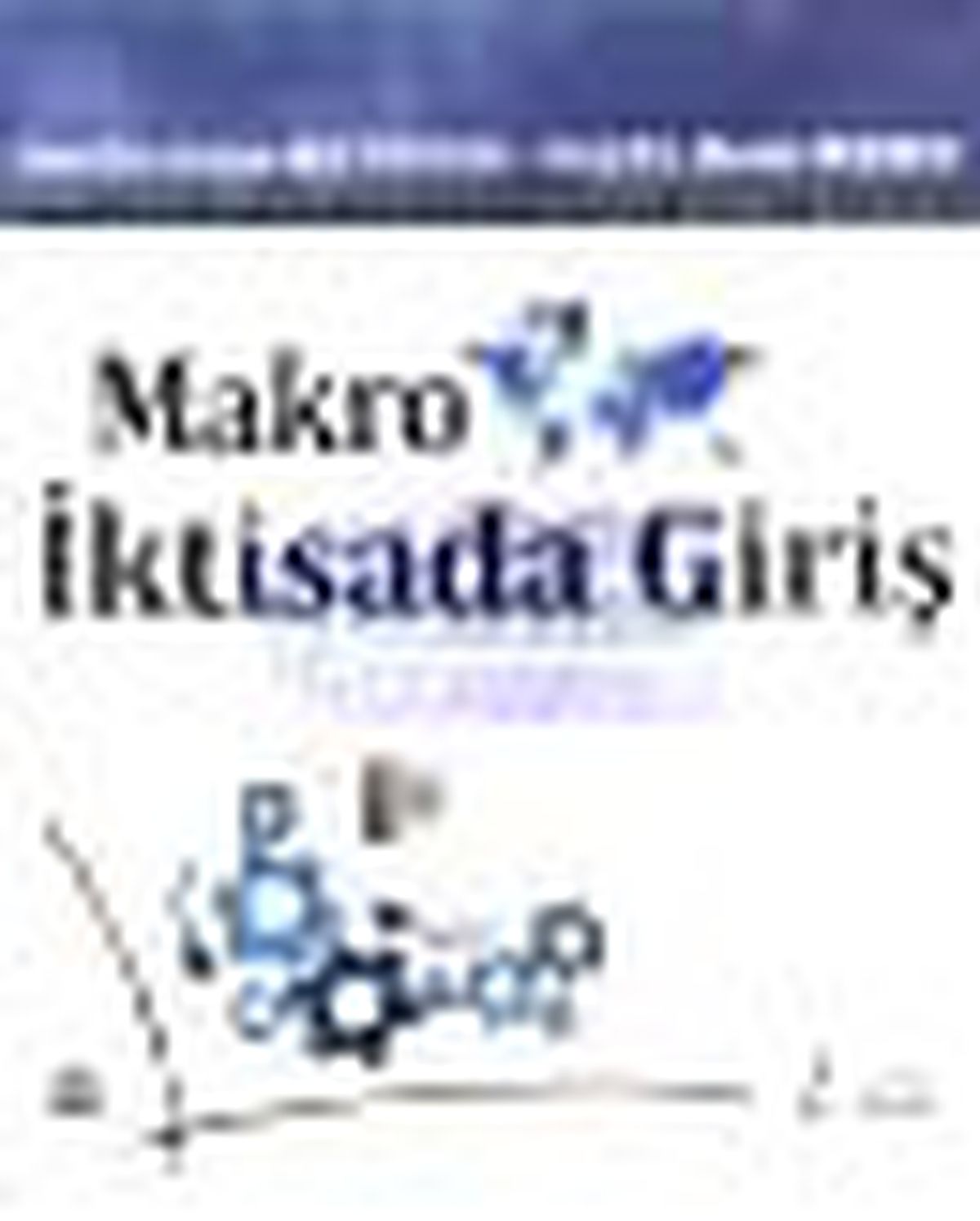 Makro İktisada Giriş Kitabı