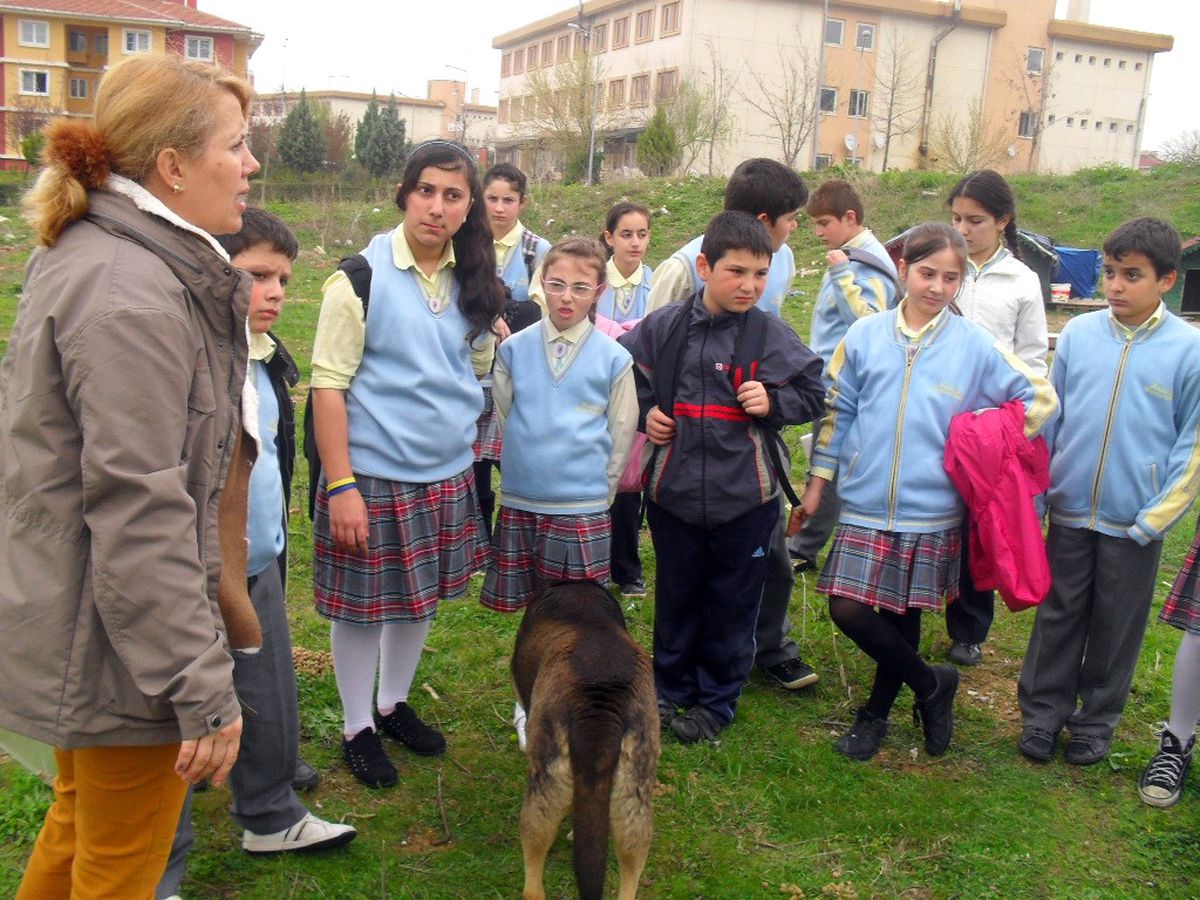 Miniklerden Büyük Ders