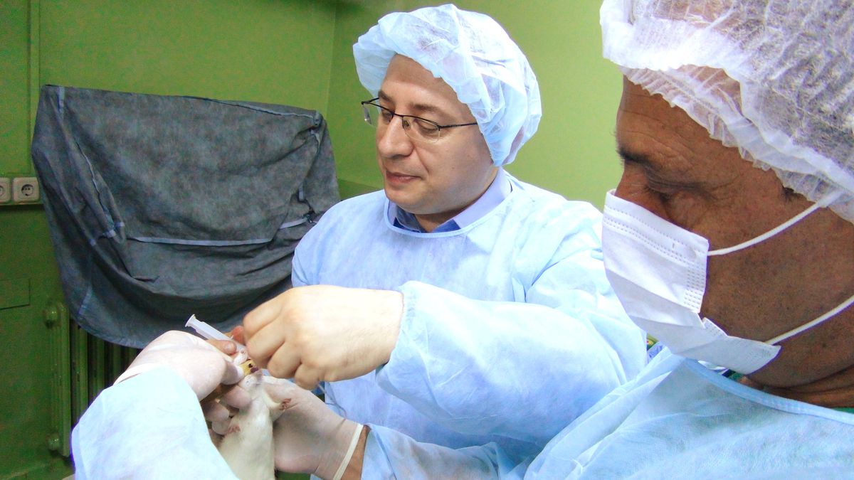 (Özel Haber) 4 Bin Deney Hayvanı Üzerinde Bilimsel Çalışma Yapılıyor