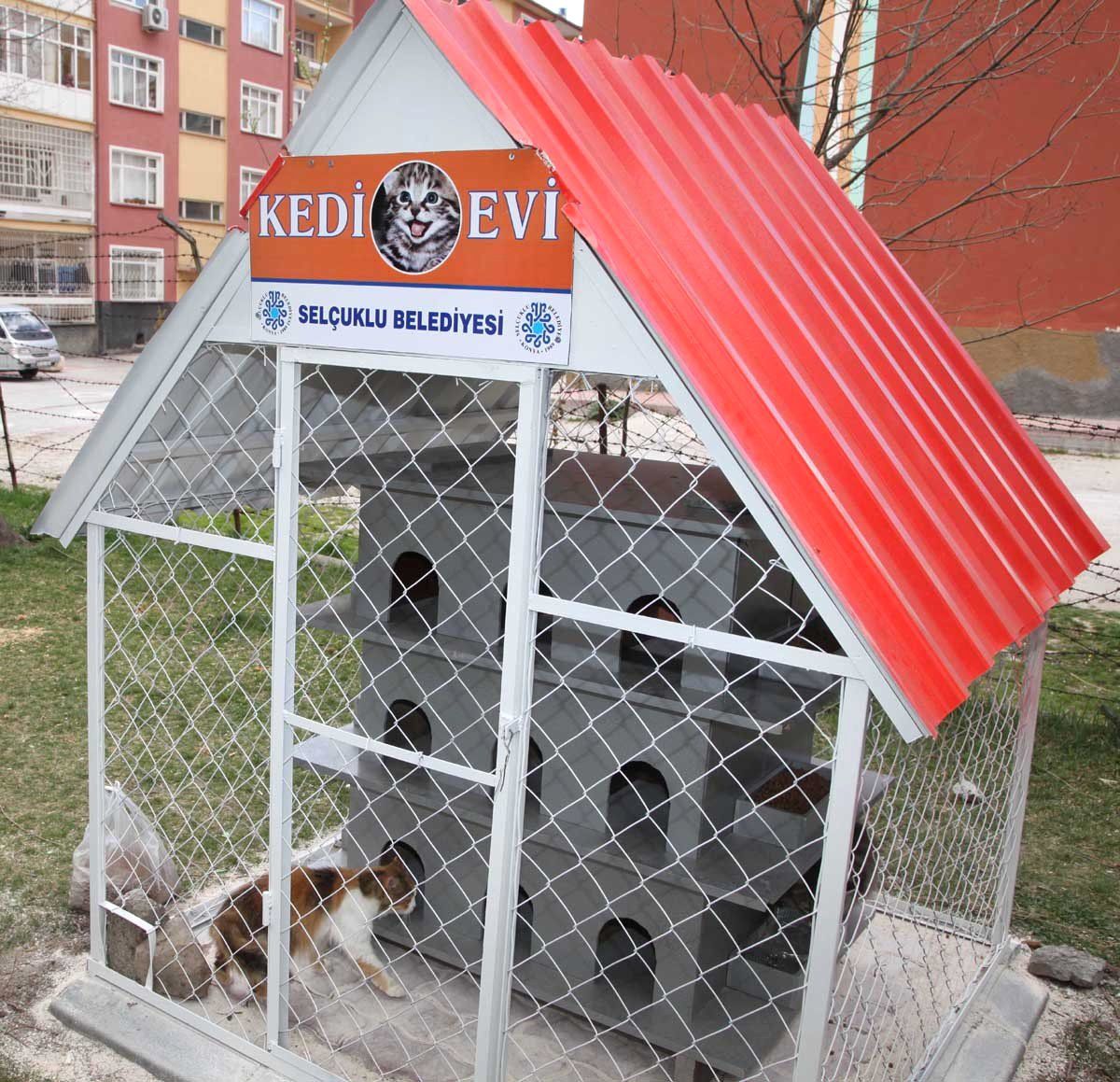 Selçuklu\'da Kedi Evleri\'nin Sayısı Artıyor