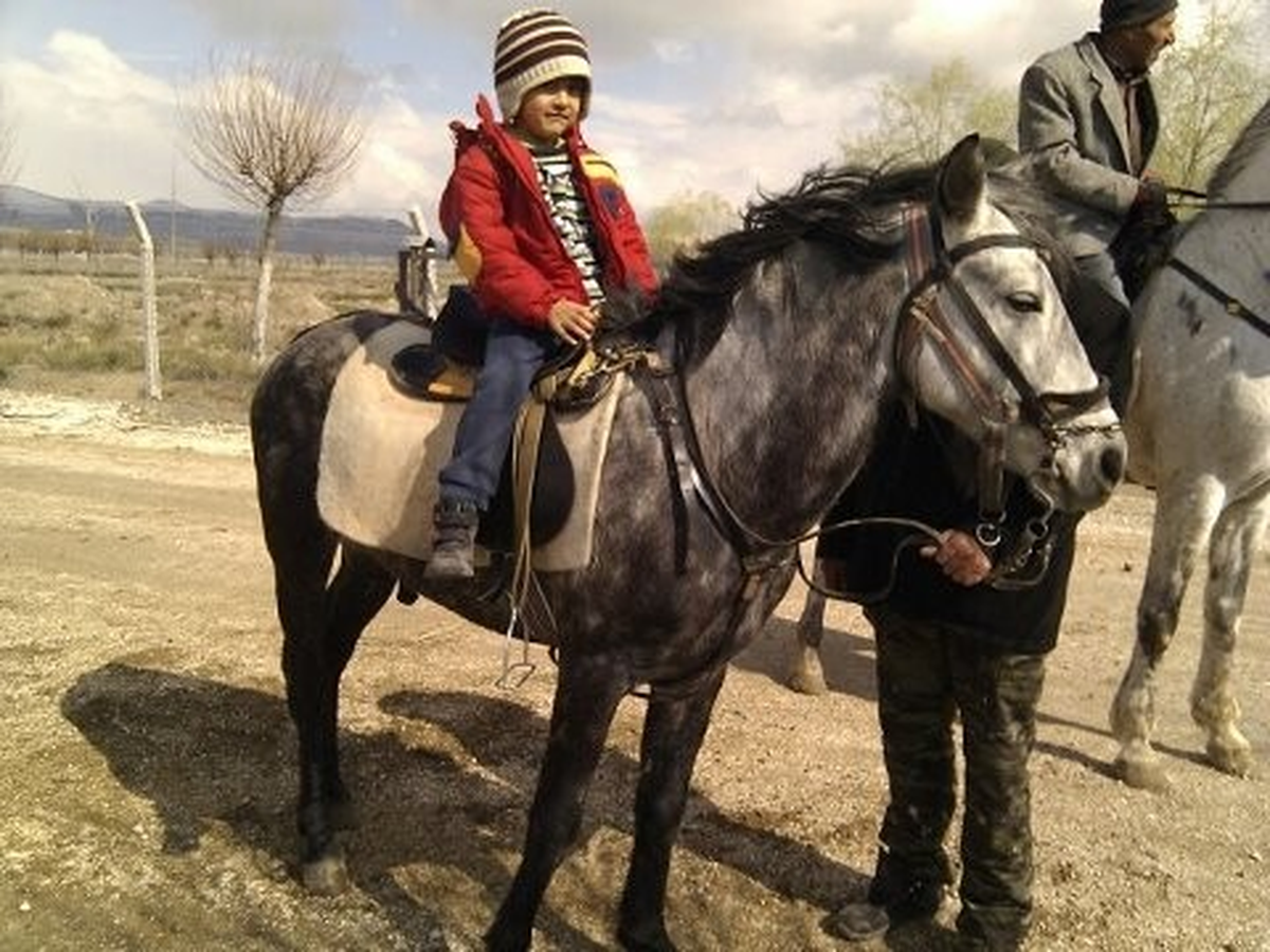 Sindelhöyük Atlı Spor Kulübü\'nden Binicilik Kursu