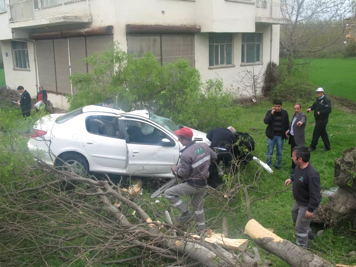 Tokat\'ta Trafik Kazası: 1 Ölü