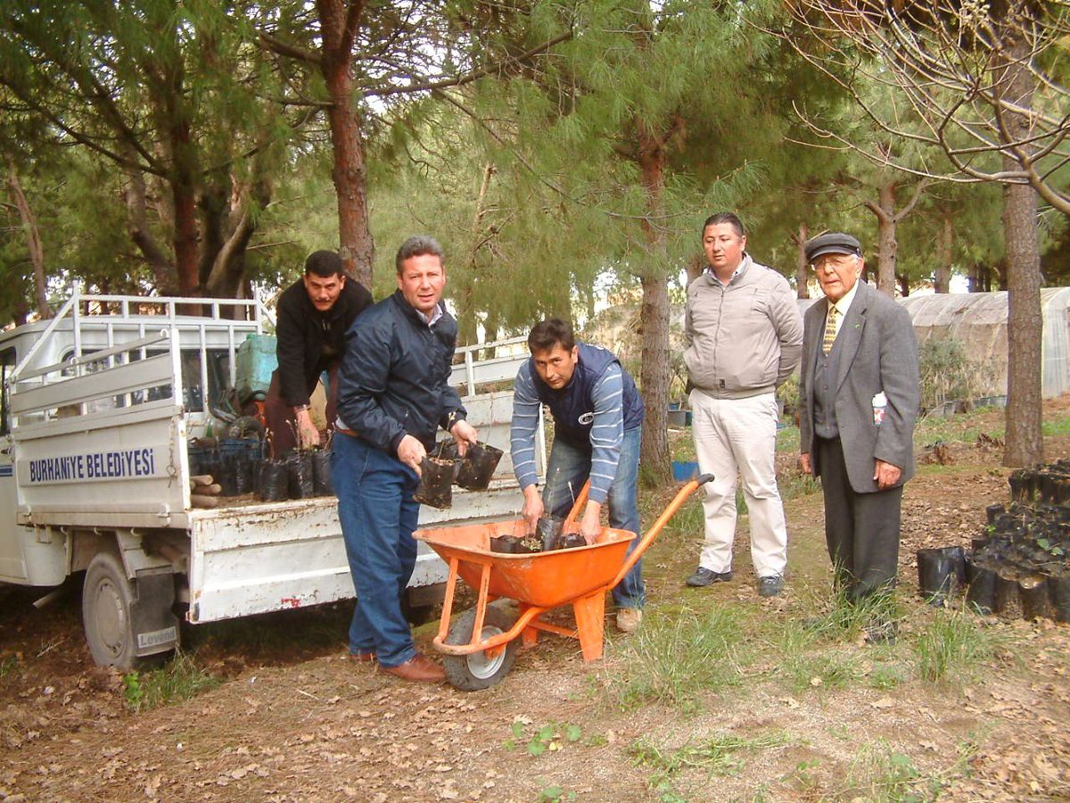 Üretilen Meşe Fidanları Okul Bahçelerine Dikiliyor