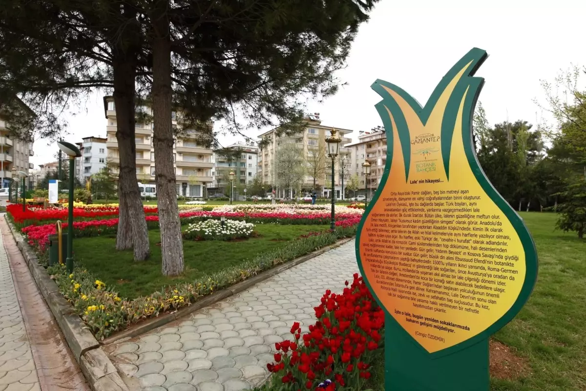 Büyükşehir\'den 1. Ulusal Fotoğraf Yarışması