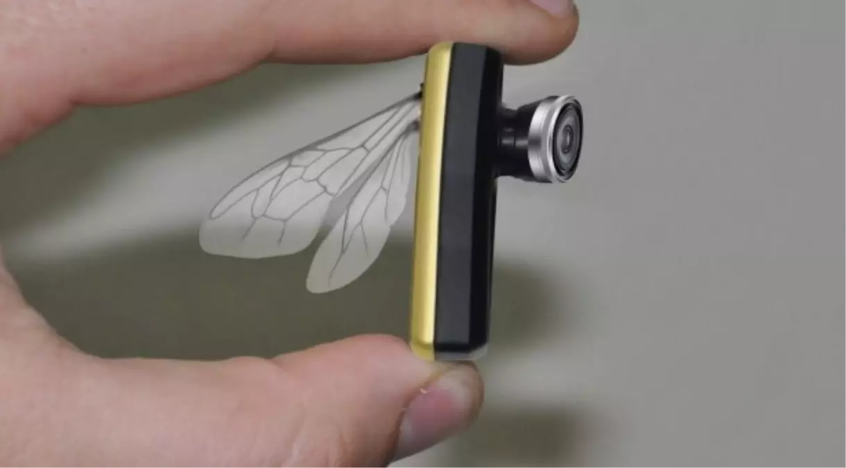 Casus Arı Göreve Hazır