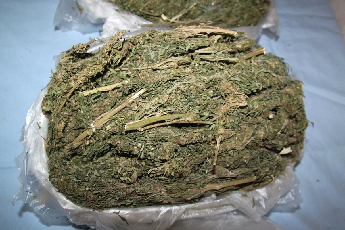Diyarbakır\'da 101 Kilogram Esrar Ele Geçirildi