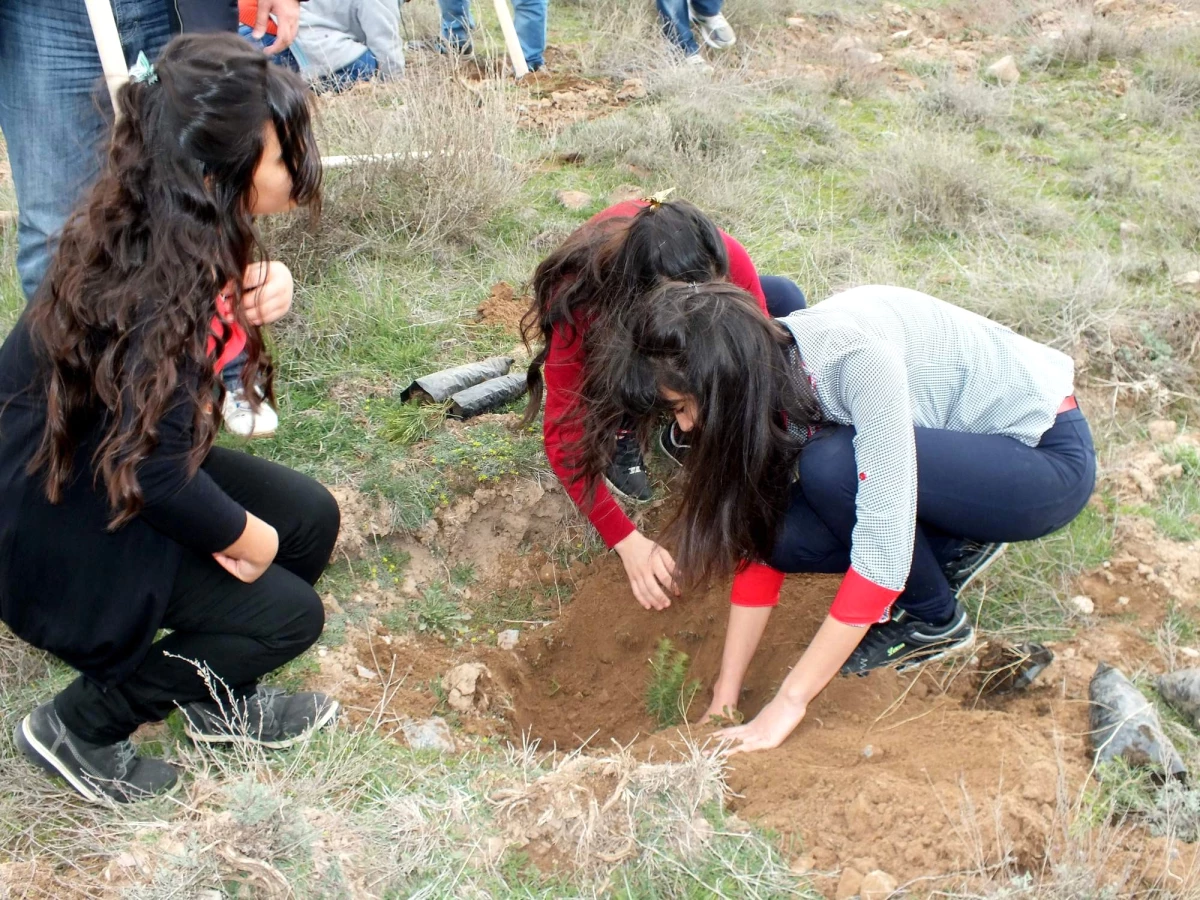 Gaziosmanpaşa Koyulhisar Meslek Yüksekokulu Öğrencileri Ağaç Dikti