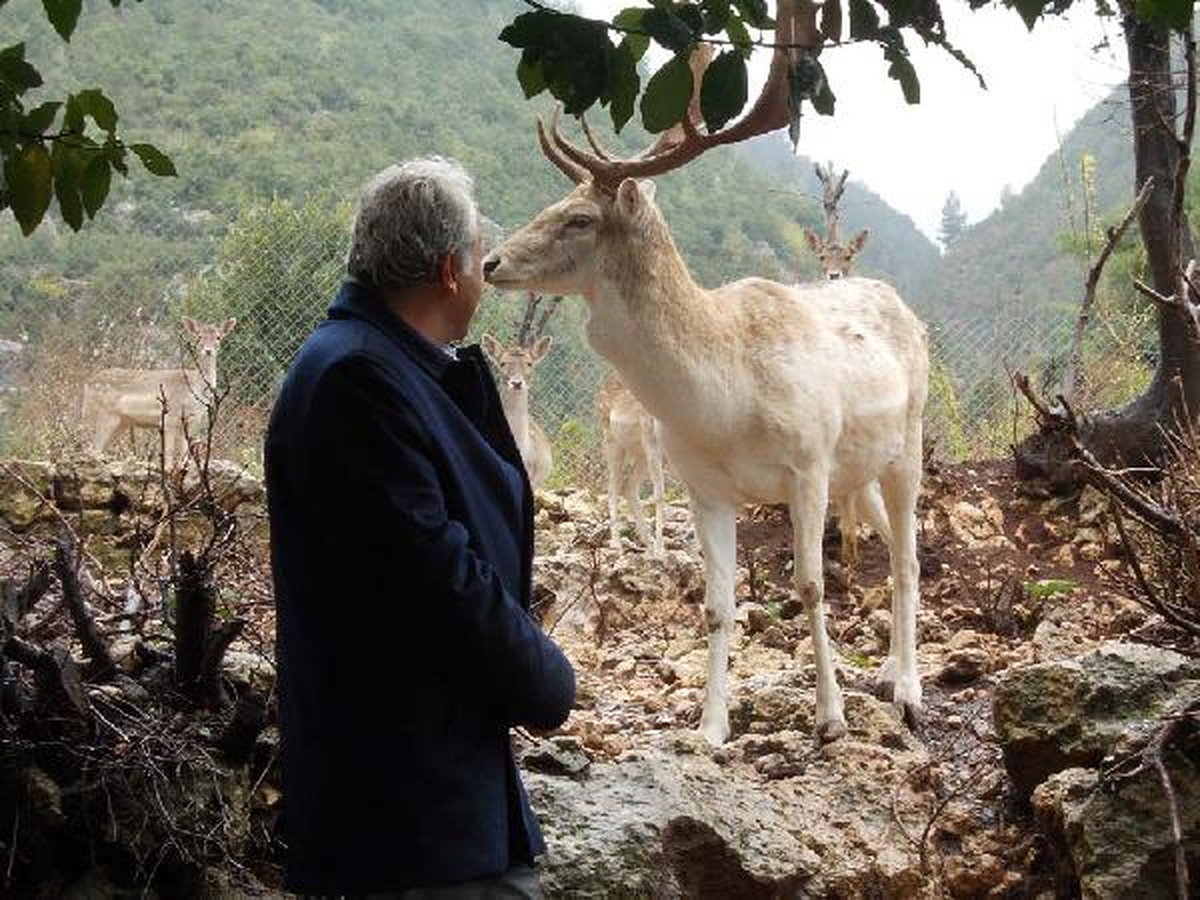 Hataylı İşadamı Yaban Hayatıyla İç İçe Yaşıyor