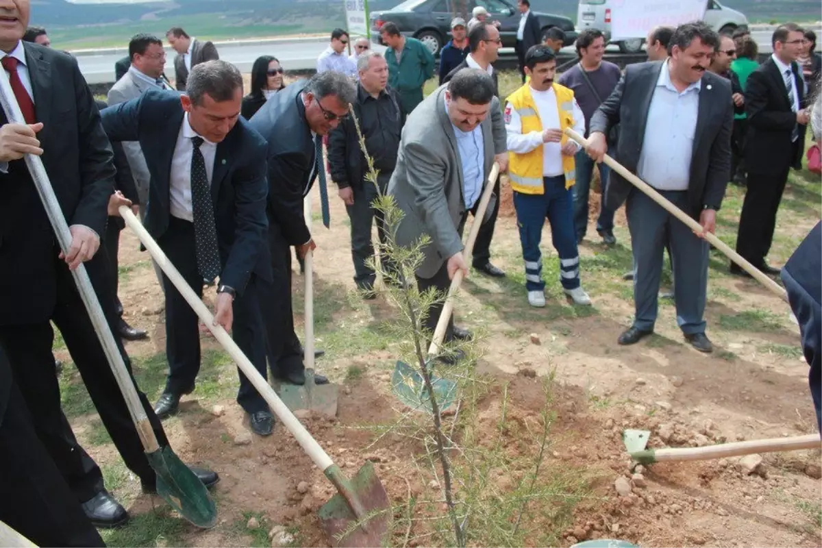 Honaz'da Memur-Sen'den Hatıra Ormanı