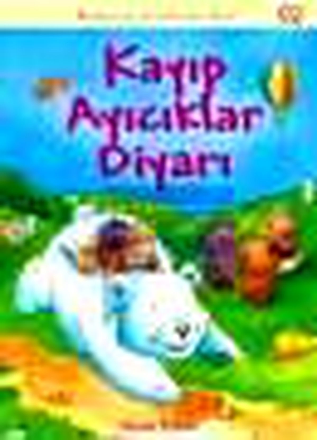 Kayıp Ayıcıklar Diyarı Kitabı