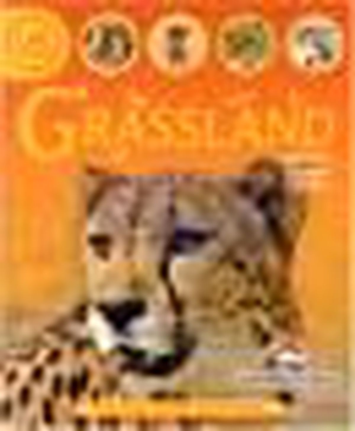 Life Cycles - Grassland Kitabı