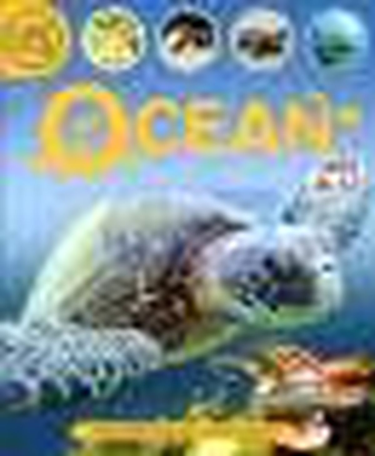Life Cycles - Ocean Kitabı