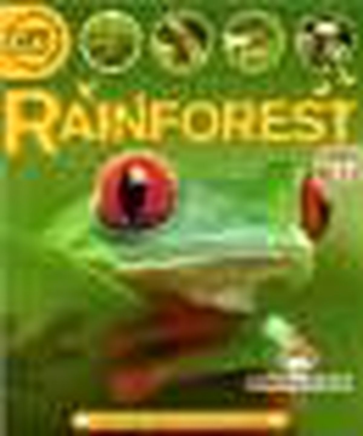 Life Cycles - Rainforest Kitabı