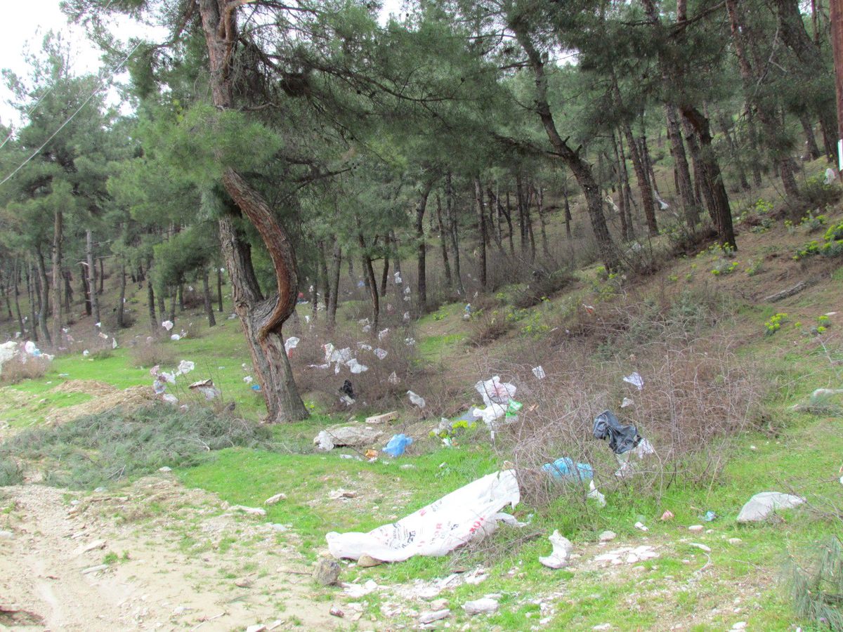 Lodos Çöpleri Ormanlık Alana Yığdı