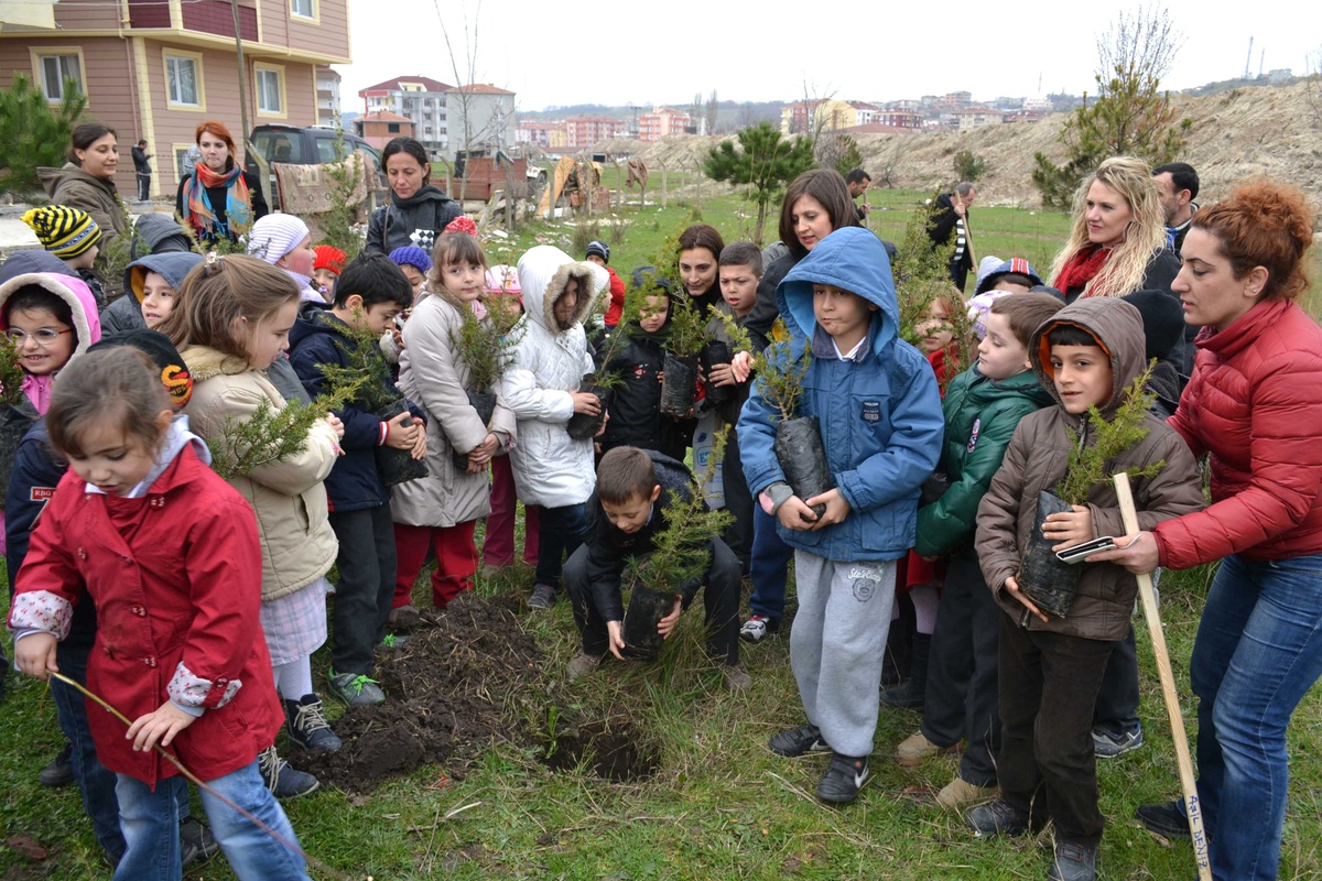 Minik Öğrenciler 50 Adet Fıstık Çamı Dikti