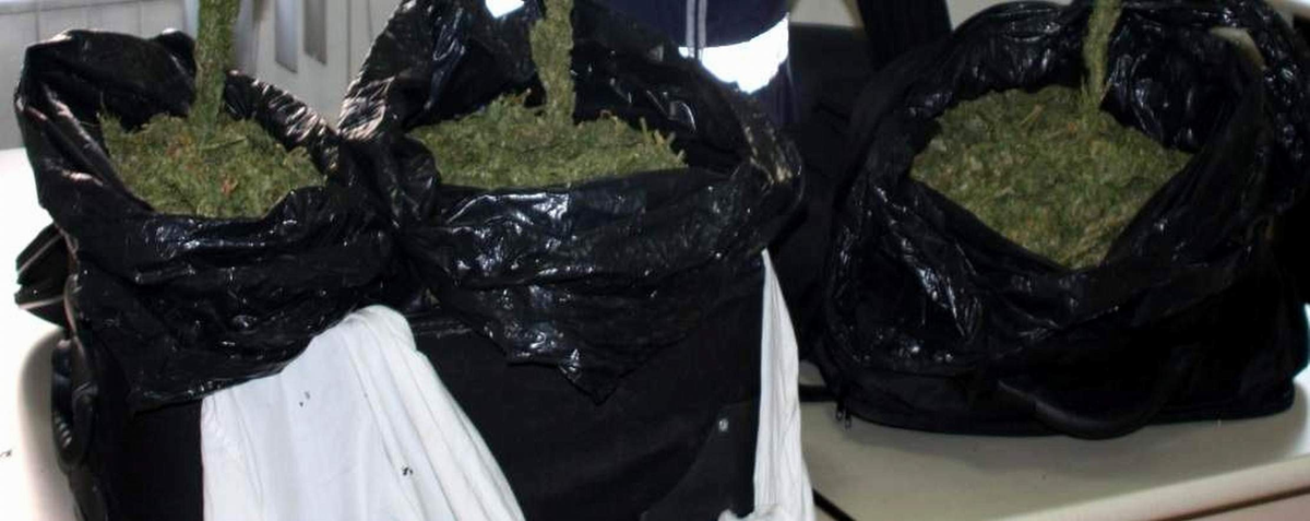 Muğla Polisinden Zehir Tacirlerine Darbe