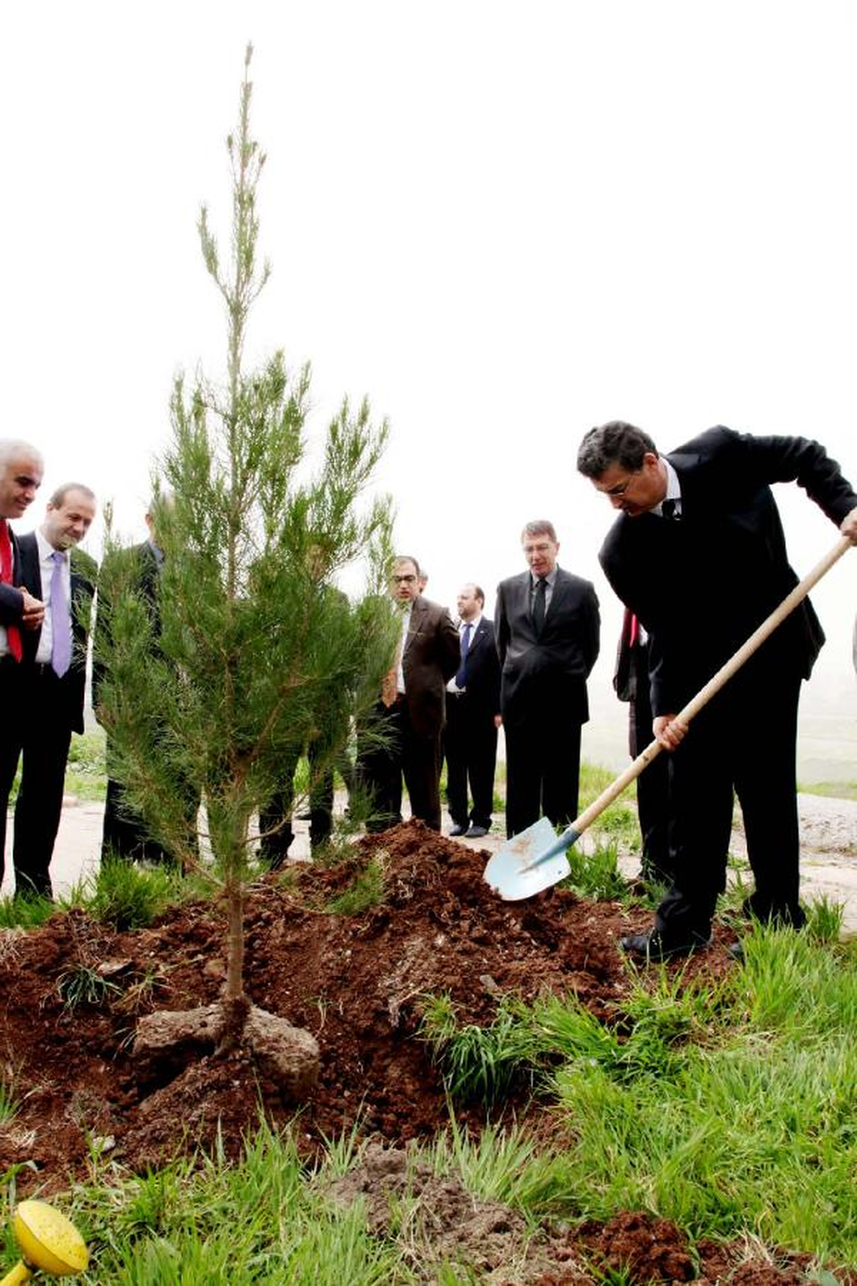 Şanlıurfa Valisi Herkesi Fidan Dikmeye Çağırdı