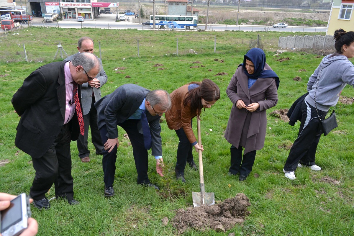 Sedir Fidanları Toprakla Buluştu