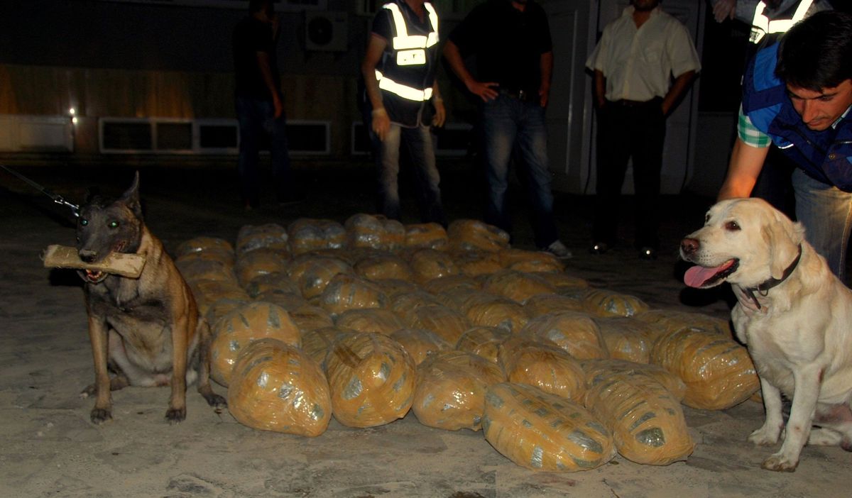 Aydın\'da 4 Yılda 30 Bin Kişi Uyuşturucu Hakkında Bilgilendirildi