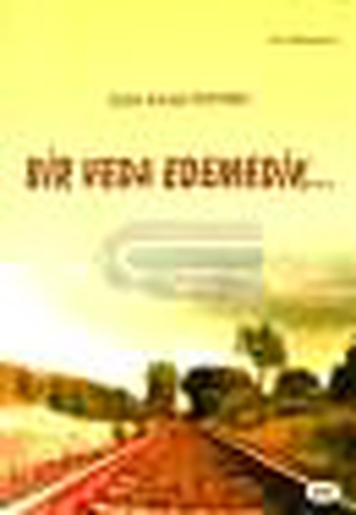 Bir Veda Edemedik Kitabı