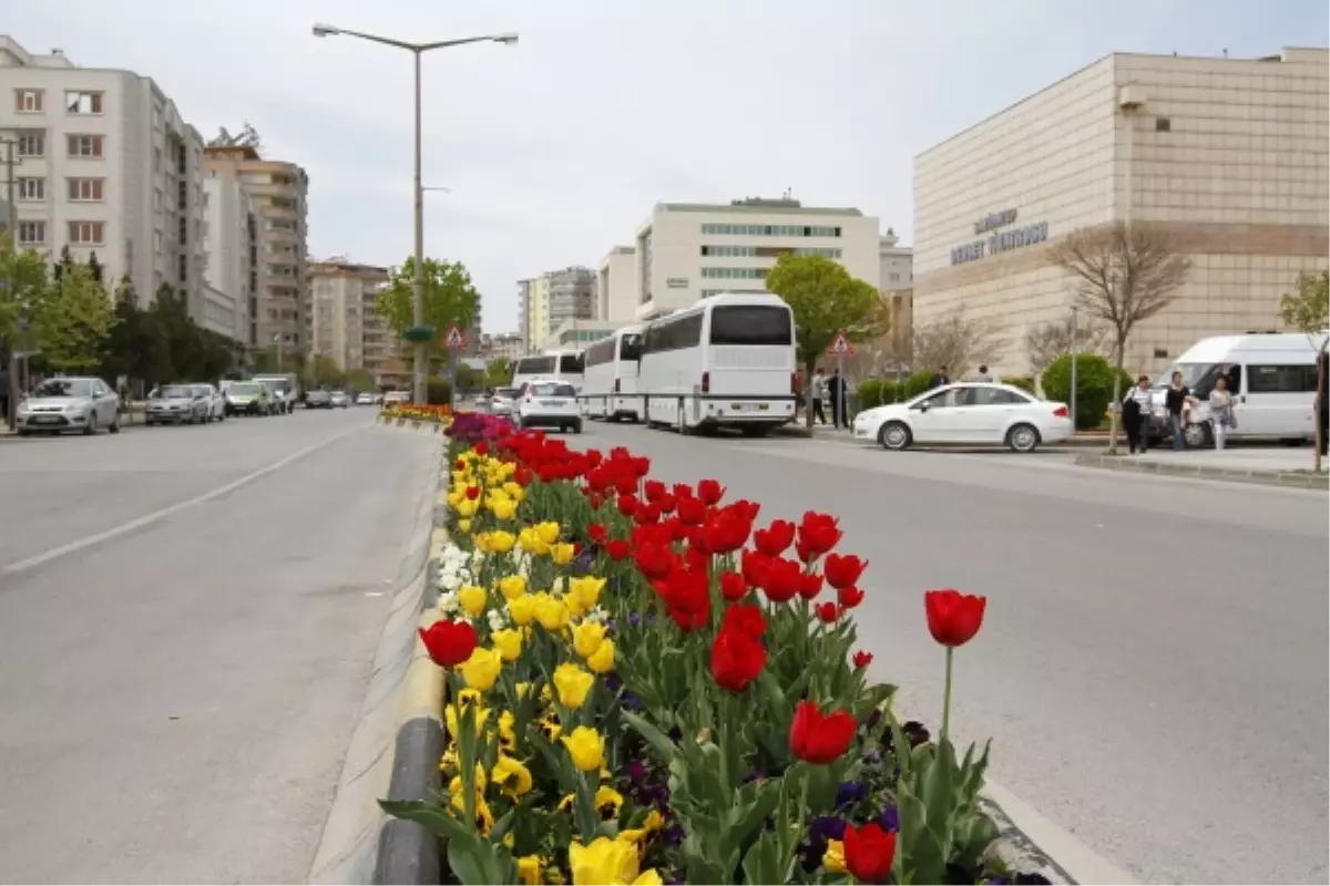 Büyükşehir\'den 1. Ulusal Fotoğraf Yarışması