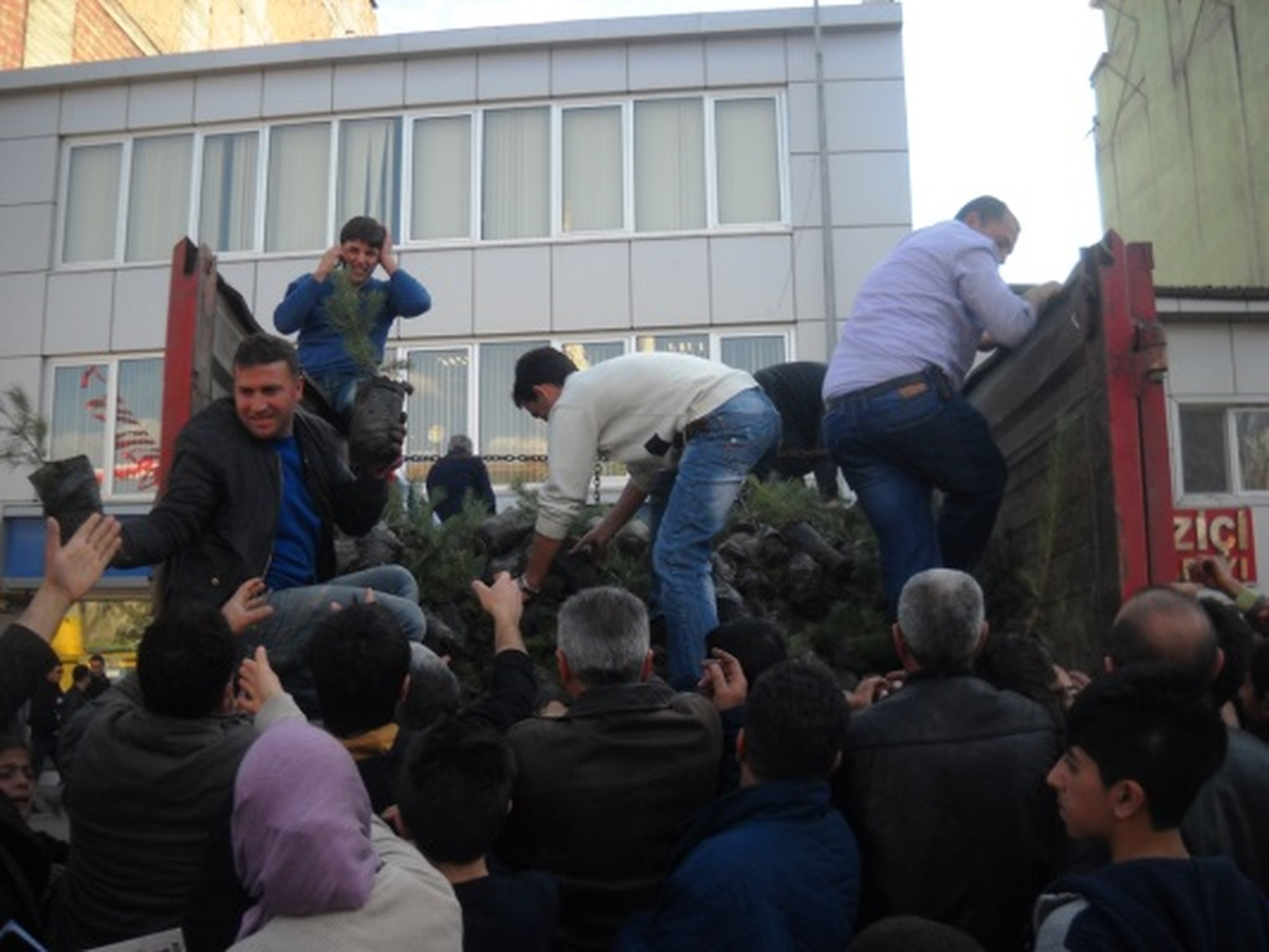 Iğdır\'da 10 Bin Sarı Çam Fidanı Dağıtıldı
