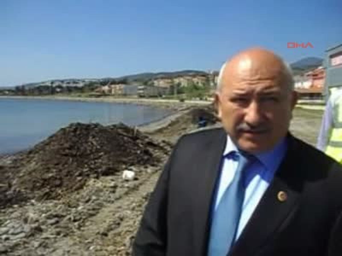 İzmir Çandarlı Sahili Petrolden Temizleniyor
