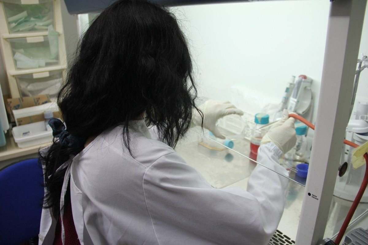 Kanser Hastalarına İçin Yeni Umut