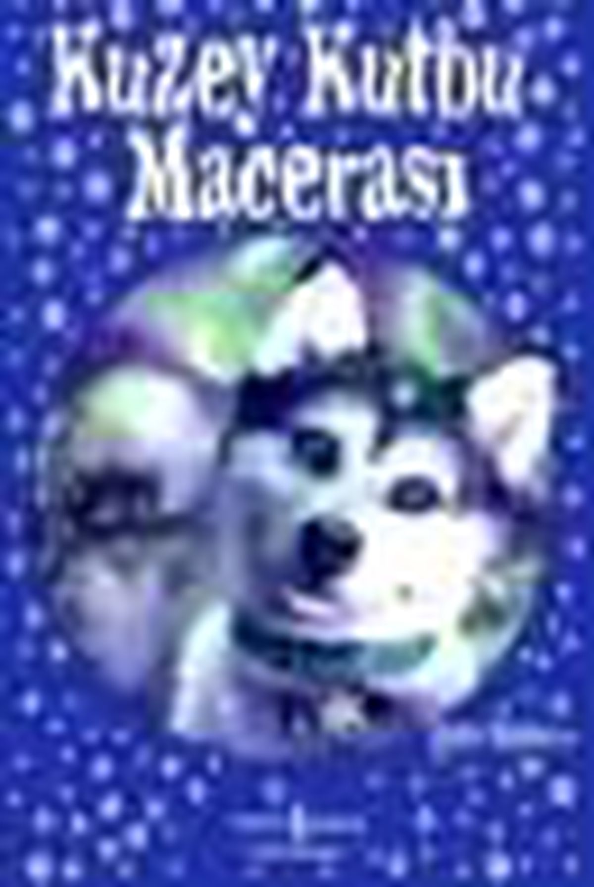 Kuzey Kutbu Macerası Kitabı