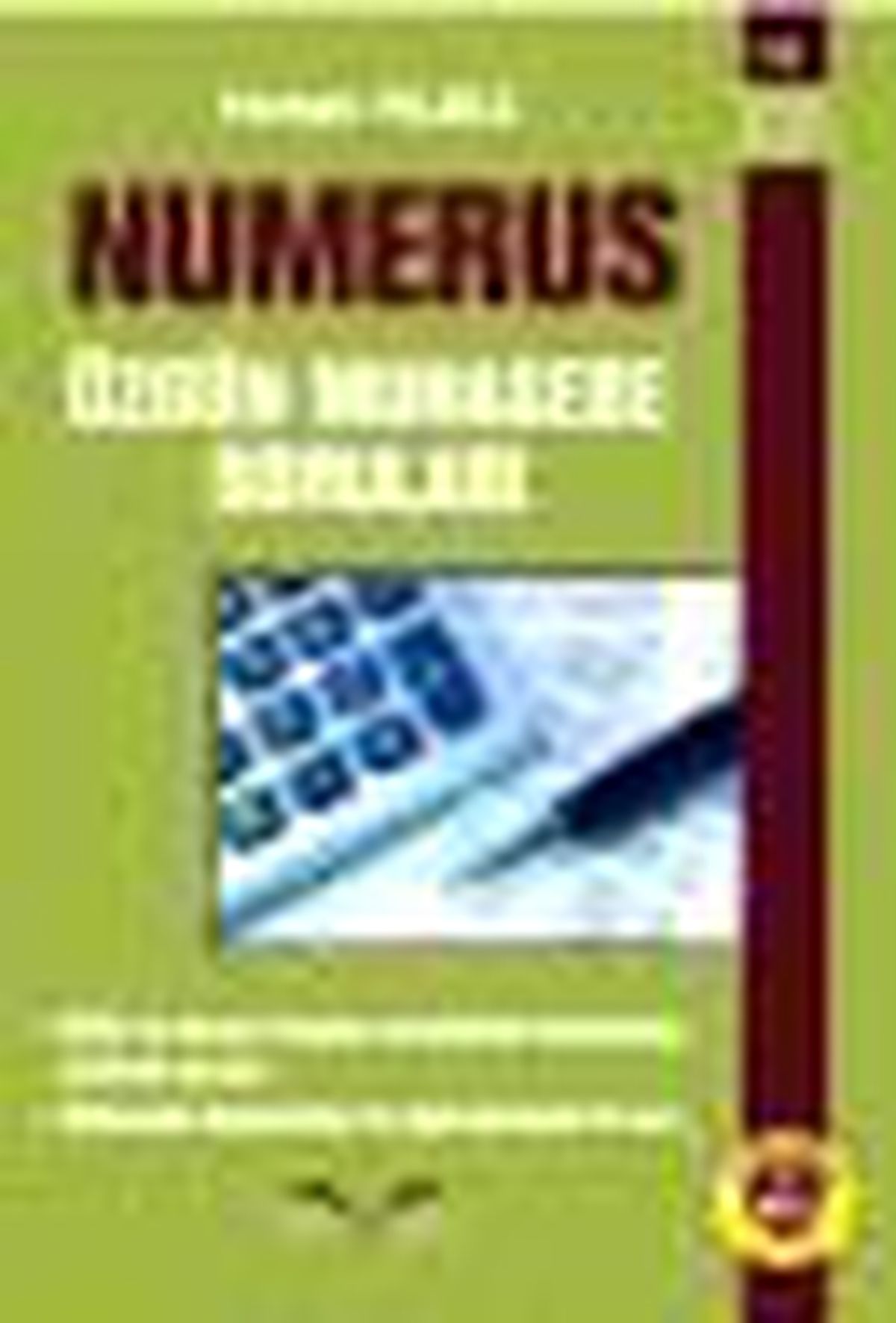 Numerus Özgün Muhasebe Soruları Kitabı