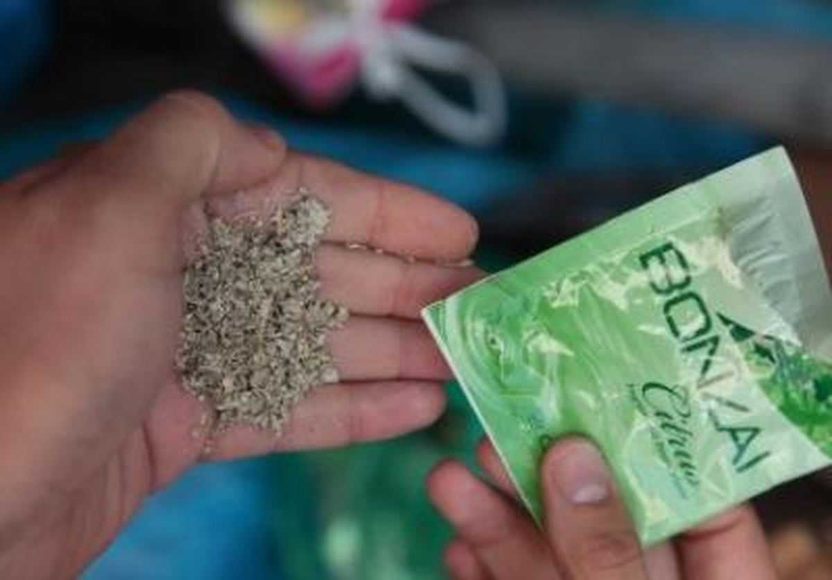 Satışa Hazır Bonzai Adlı Uyuşturucuyla Yakalandı