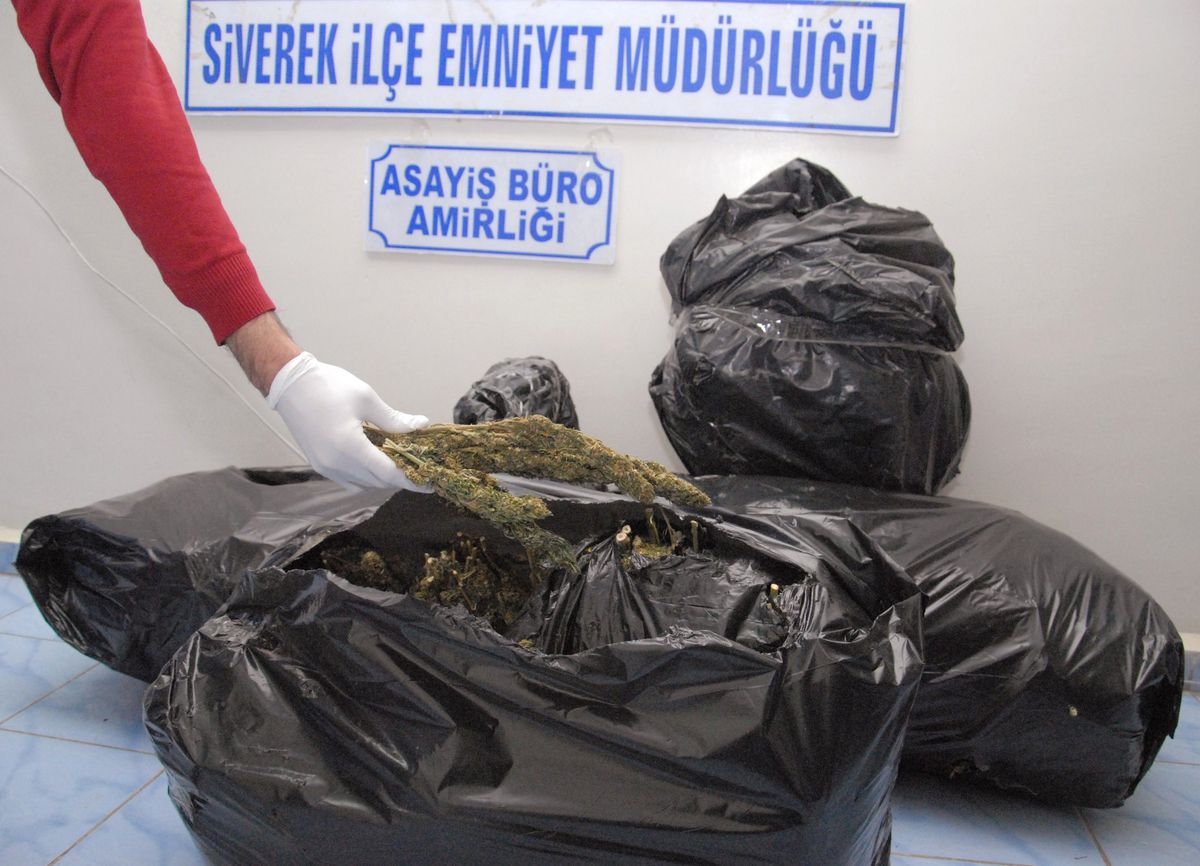 Siverek\'te 50 Kilo Esrar Ele Geçirildi