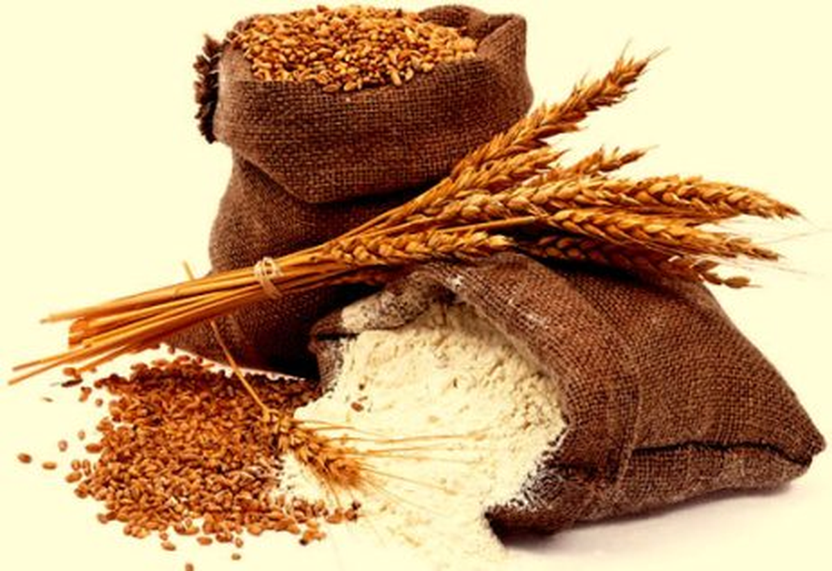 Türk Uncuları Libya\'da