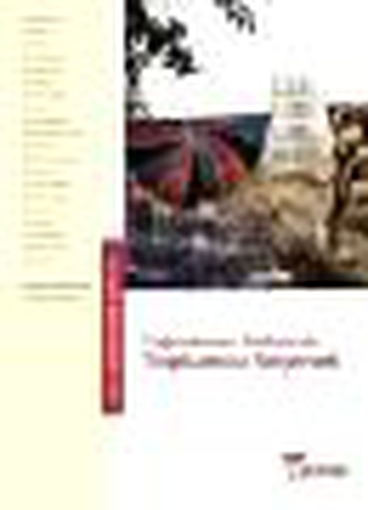 Yağmalanan Türkiye\'de Toplumcu Seçenek Kitabı