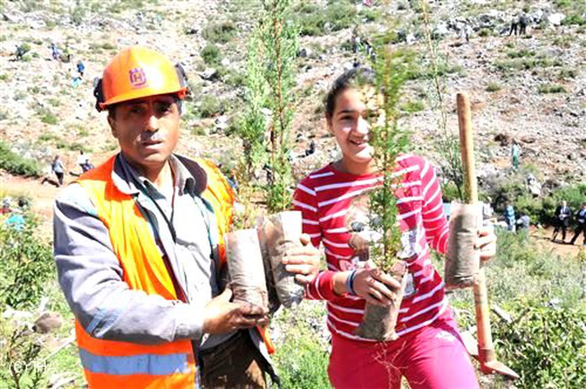 Yangında Kül Olan Ormana 2 Bin Fidan Dikildi