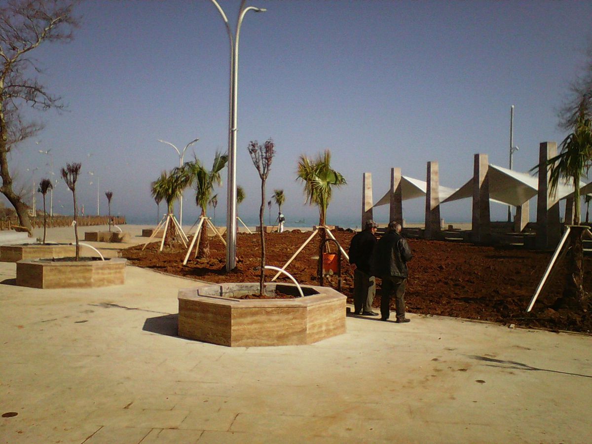 Akçakoca\'da Ağaçlandırma Çalışması Başladı