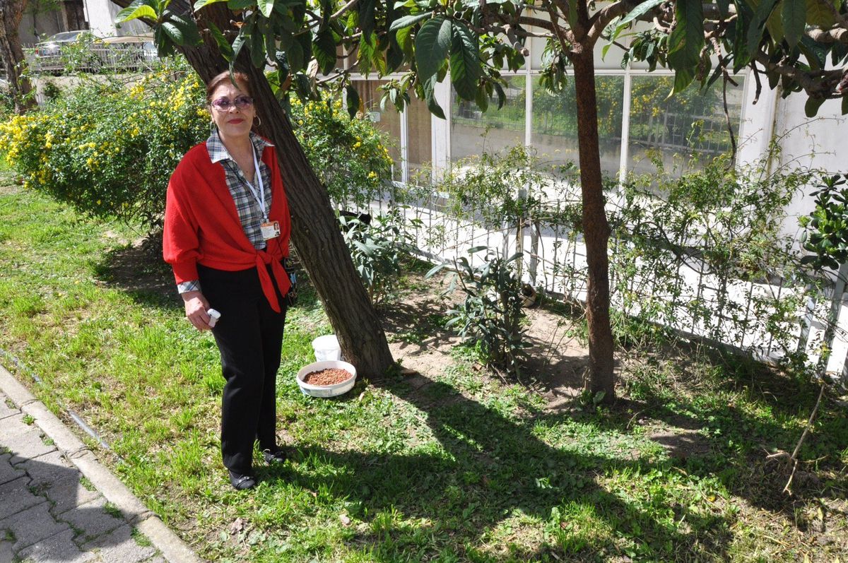 Belediyeden Kedi Kulübesi İstediler