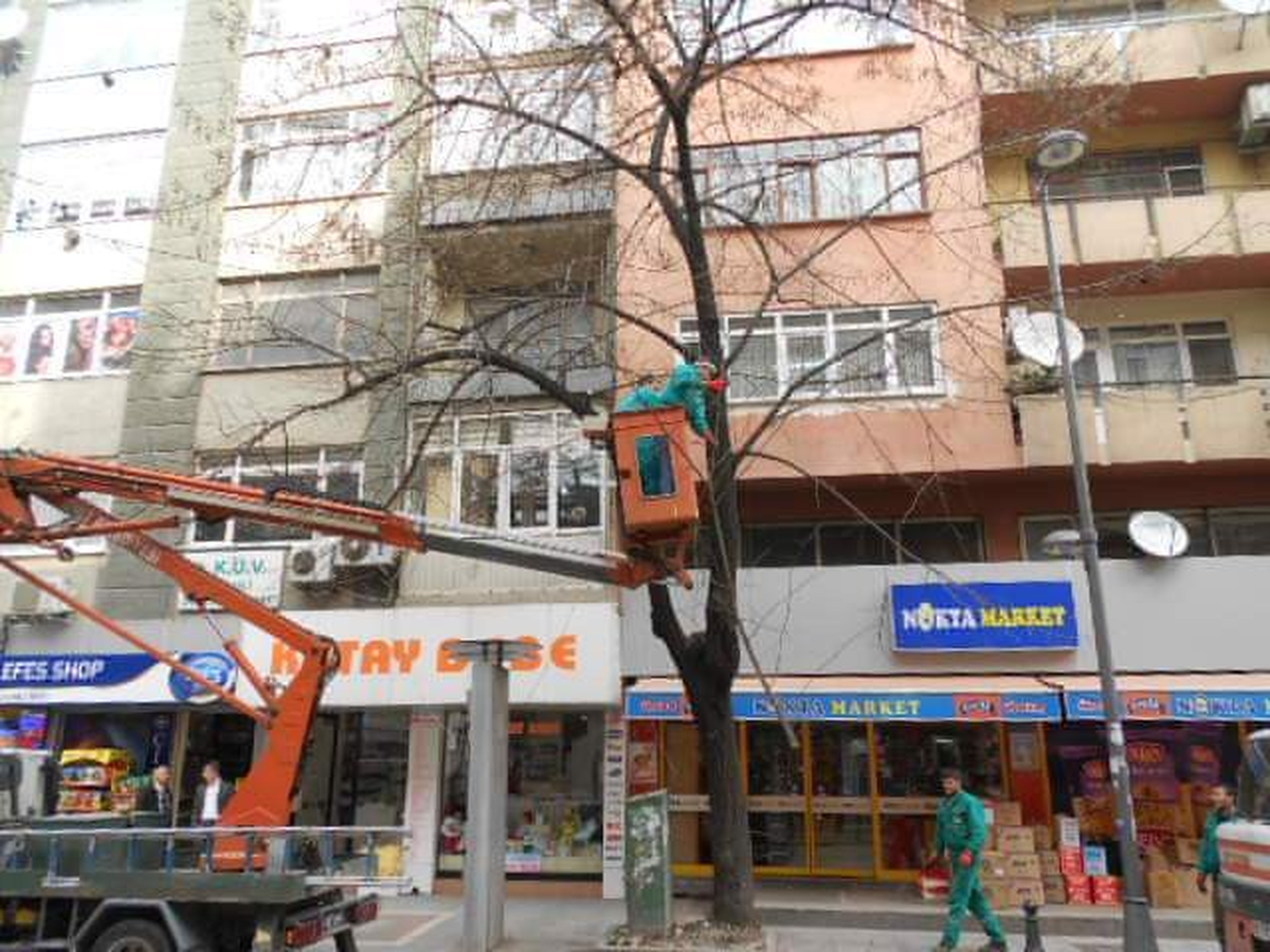Budama Bitti Sırada Tırpan Var