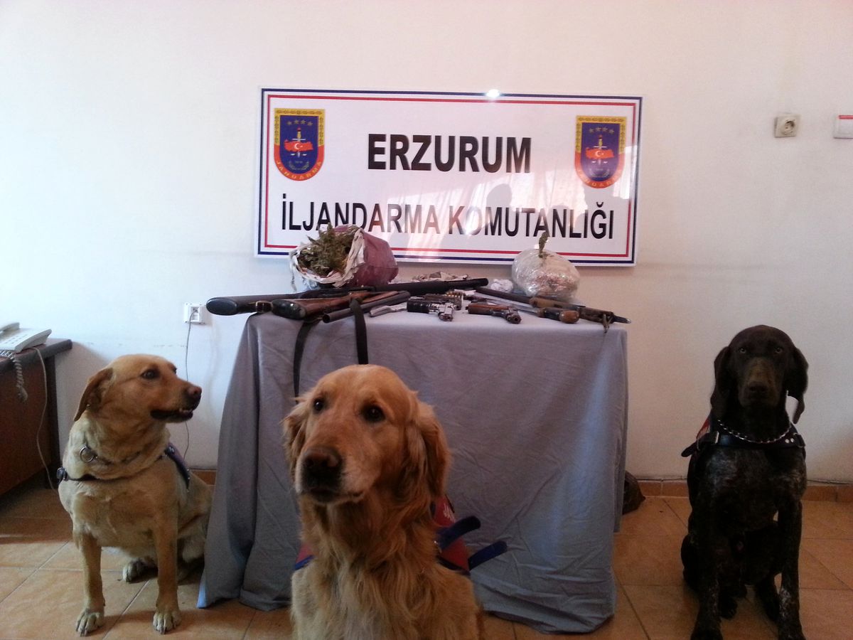 Erzurum\'da Uyuşturucu Operasyonu
