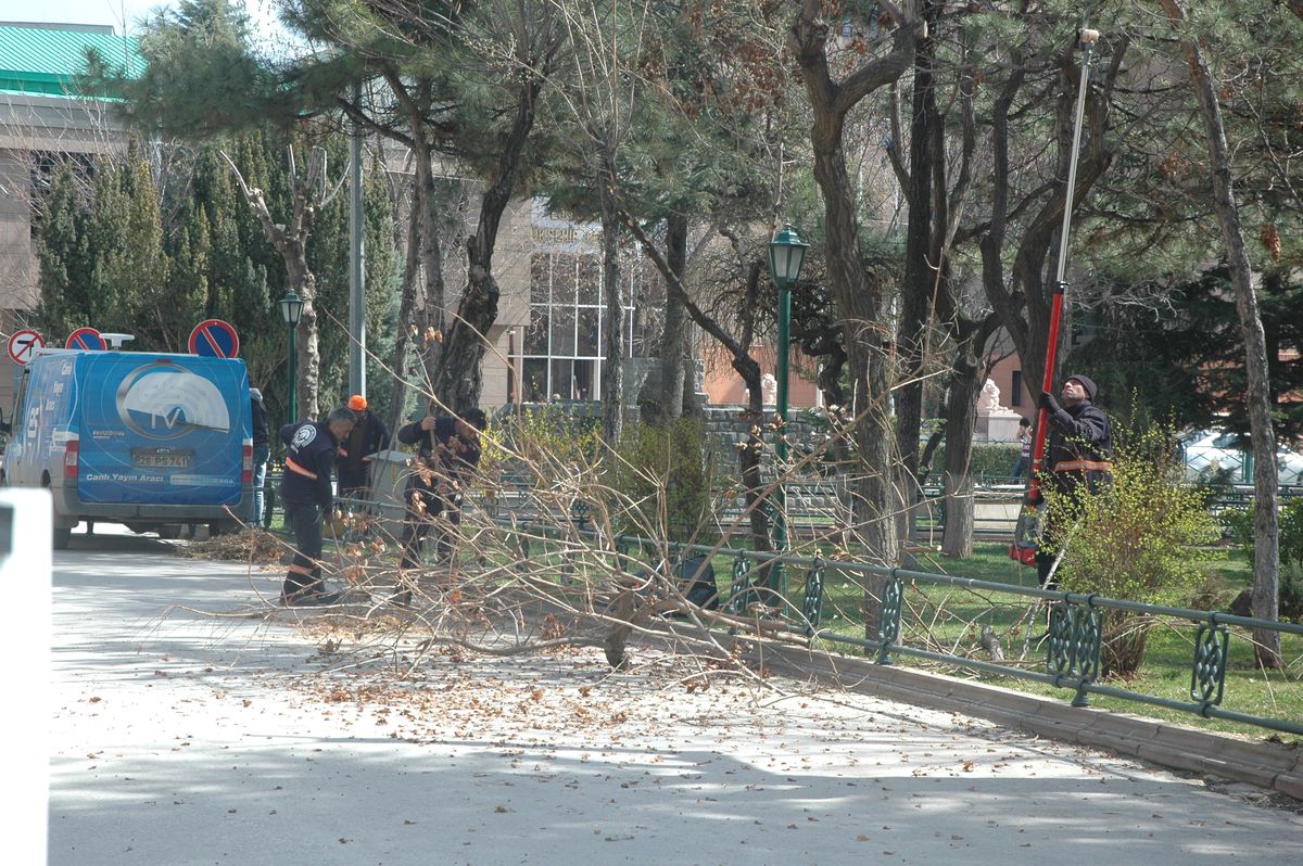 Eskişehir\'de Ağaçlara Bahar Bakımı