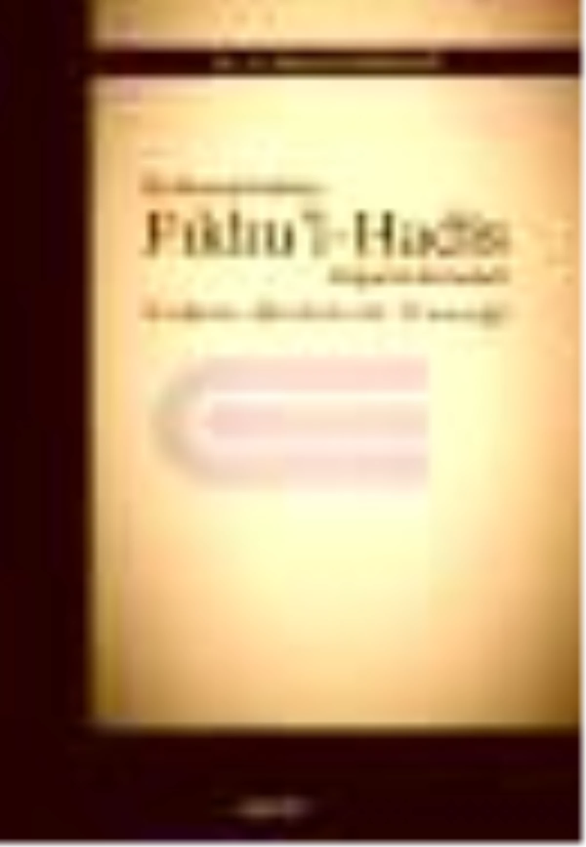 İki Hanefi Fakihin Fıkhu\'l-Hadis Değerlendirmeleri Kitabı