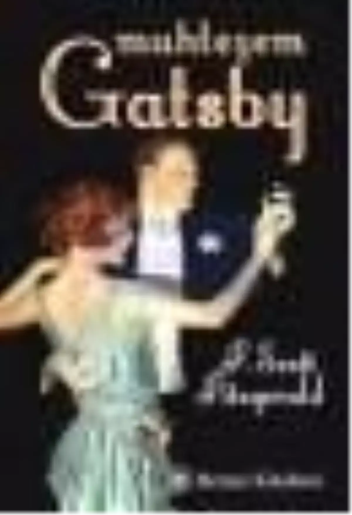 Muhteşem Gatsby Kitabı